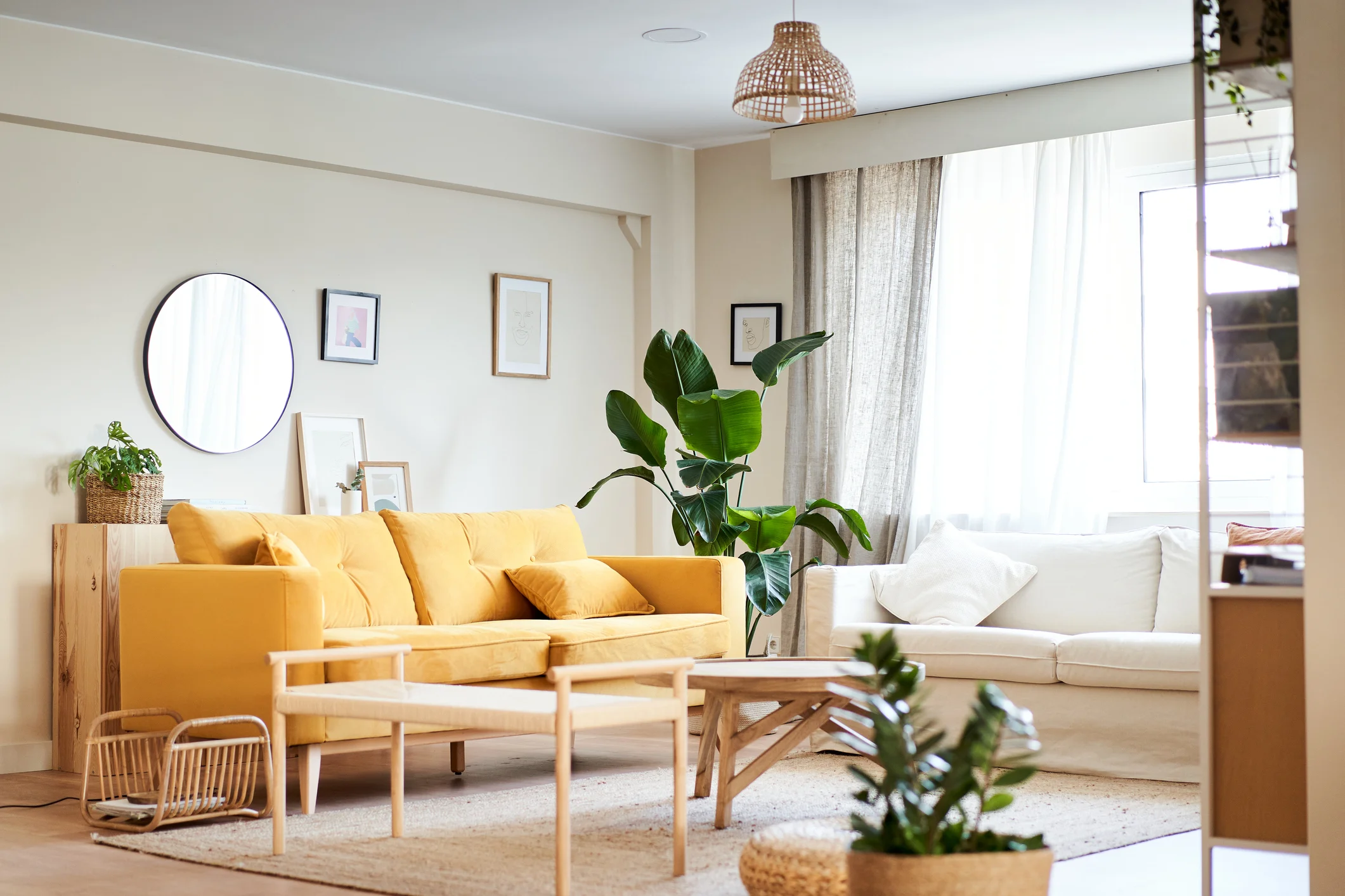 Pourquoi s'informer sur la notice d'information dans un contrat de bail ?