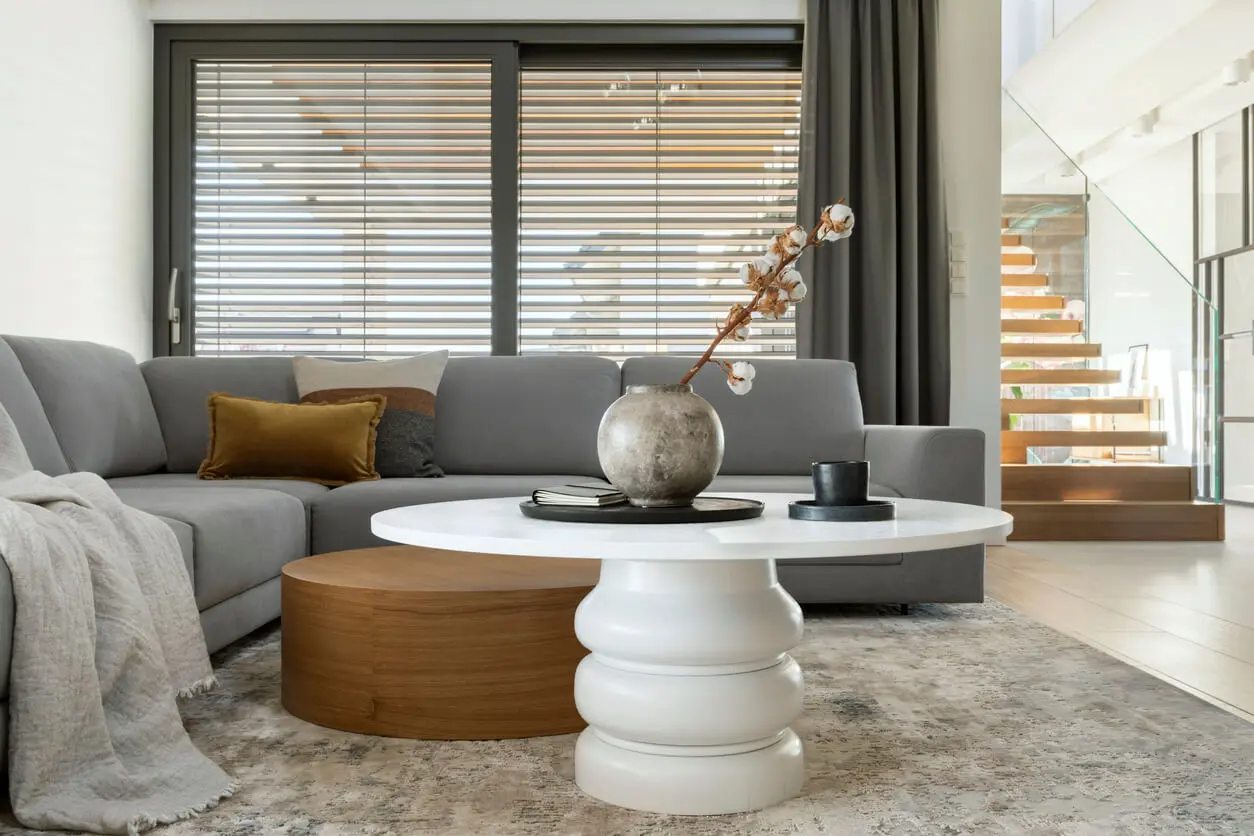 Location colocation : comprendre les aspects de cette option